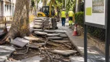 Algeciras destina 400.000 euros a reparar calles de Los Pinos afectadas por raíces