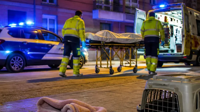 Bebé de 10 meses atacada por un perro familiar en Palencia: trasladada a referencia en Valladolid