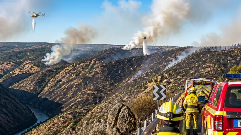 Incendio en Fermoselle deja cerca de 11.000 hectáreas calcinadas y afecta a municipios de Zamora